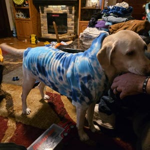 haleigh added a photo of their purchase