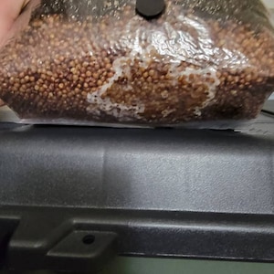 Al added a photo of their purchase