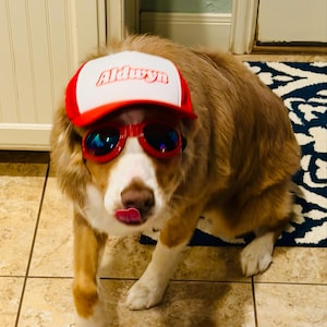 Brandi a ajouté une photo de son achat