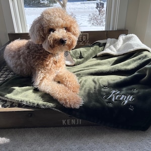 David added a photo of their purchase