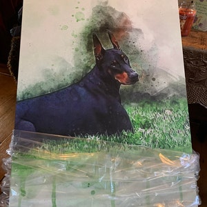 Louise heeft een foto van de aankoop toegevoegd