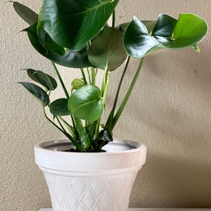 Kristin added a photo of their purchase