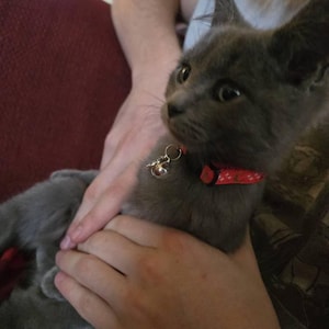 Katherine ha añadido una foto de su compra