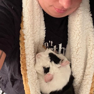 TinyPawsUK - Etsy UK