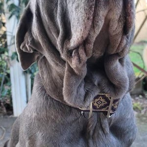 Joshua hat ein Foto des gekauften Artikels hinzugefügt