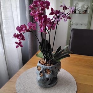 Fabienne ha añadido una foto de su compra
