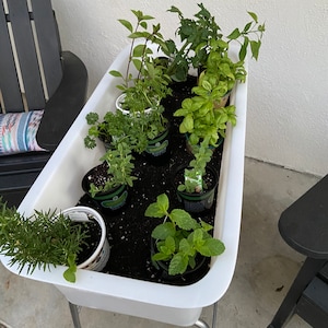 Marie added a photo of their purchase
