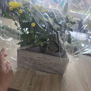 Elisabeth hat ein Foto des gekauften Artikels hinzugefügt