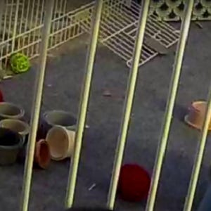 Jean added a photo of their purchase