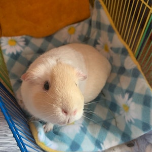 Small pet Rat Flowers and Butterflies Cage Liner 1x2 C/&C 14 x 28 Hedgehog Guinea Pig Hamster