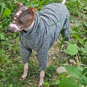 Jorden added a photo of their purchase
