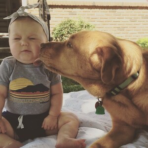 Amy Gerken added a photo of their purchase