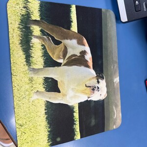 Candih adicionaram uma foto da sua compra