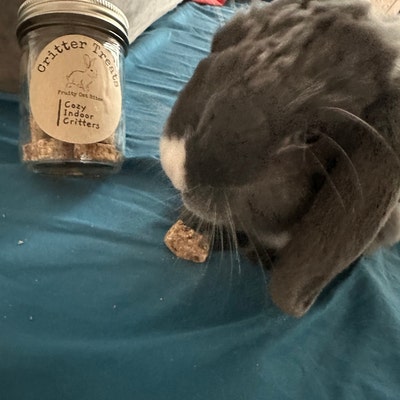 View of Timothy Hay Flower Pops Oat Free Rabbit Treat / Hamster / Guinea Pig ...