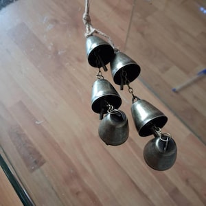 Fiona added a photo of their purchase