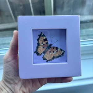 Eileen added a photo of their purchase