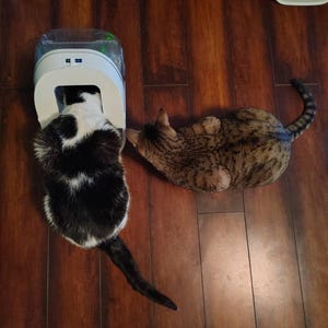 Renee added a photo of their purchase