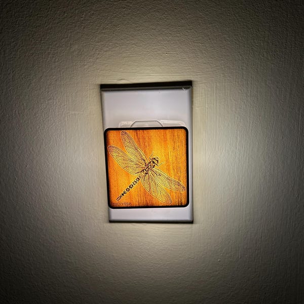 Dragonfly Night-light, Wall Art, Bug, Insect Lamp - Etsy