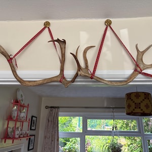 Ceri added a photo of their purchase