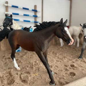 Nadia added a photo of their purchase