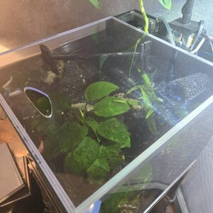WATERBOX 水槽用蓋：ポリカーボネート製ヒンジ付きカバー送料無料