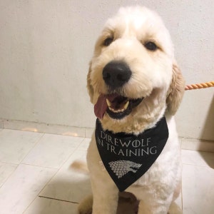Game of Thrones Direwolf in Training Bandana Etsy Canada