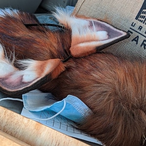 Noah added a photo of their purchase