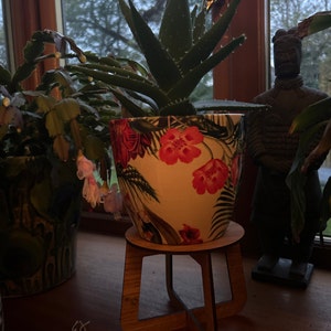 Carol added a photo of their purchase