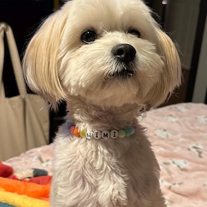 Haley さんが購入した商品の写真を追加しました