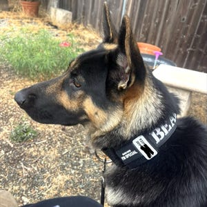 Samantha added a photo of their purchase