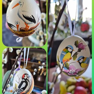 Heike added a photo of their purchase