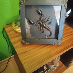 Anja added a photo of their purchase