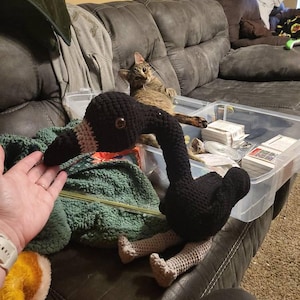 Ashley added a photo of their purchase