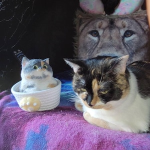 Stephanie added a photo of their purchase