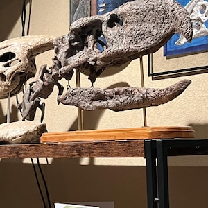 Bradley added a photo of their purchase