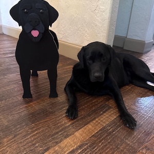 Sundee added a photo of their purchase
