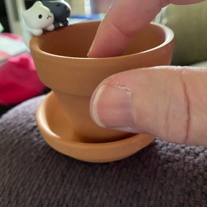 Kelly added a photo of their purchase