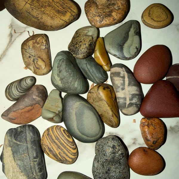 Beautiful Montana River Rocks Vibrant Colors Unique Banding and ...