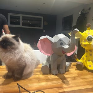 Galmiche added a photo of their purchase