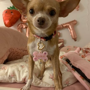 Erika added a photo of their purchase