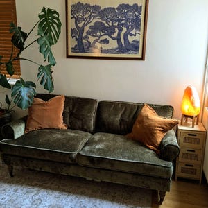 Rosie added a photo of their purchase