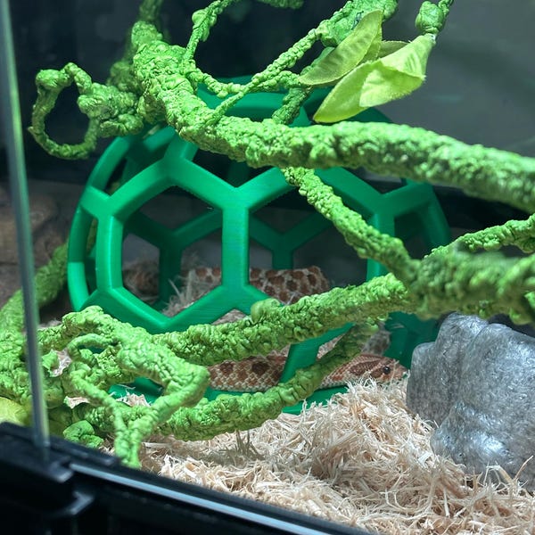 Curated visual reference: Visual Reference: Calcium Dish For Leopard Geckos