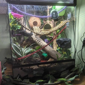 Toryn added a photo of their purchase