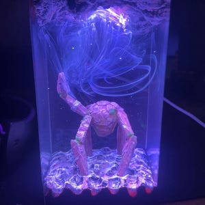juli added a photo of their purchase