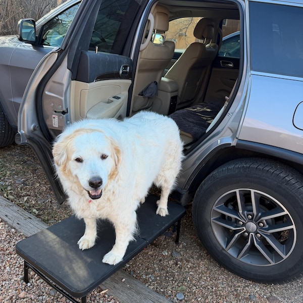 The Alternative to Steps and Ramps! 4 Paws Platform for Small & Large ...