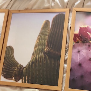 Shaelese added a photo of their purchase