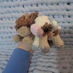 Heather added a photo of their purchase