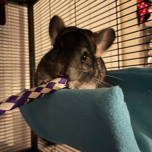 Melanie added a photo of their purchase