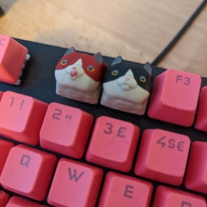 Geoff added a photo of their purchase