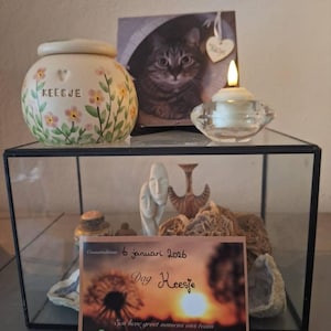 Conny heeft een foto van de aankoop toegevoegd